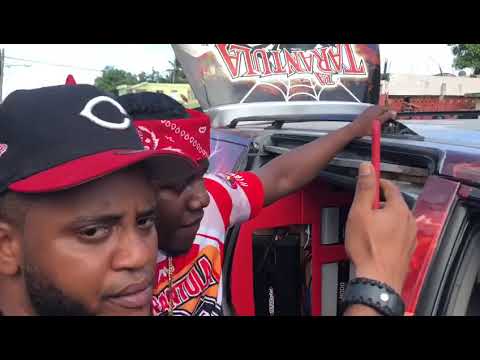Celebración de Vladimir Guerrero en su natal Nizao