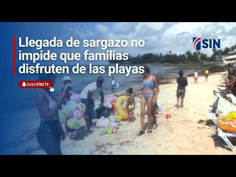 El sargazo no impide que familias disfruten de las playas