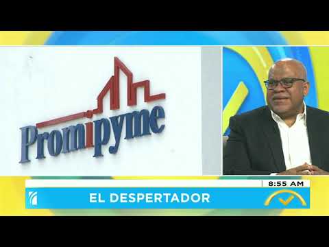 Entrevista al director de Promipyme, Fabricio Gómez