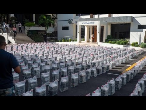 Banda vinculada a cargamento de cocaína también es investigada por sicariato y tráfico de armas
