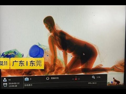 Woman refuses to leave handbag, climbs into X-ray machine at China station